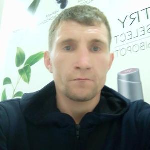 Парни в Хабаровске (Хабаровский край): Дмитрий, 43 - ищет девушку из Хабаровска (Хабаровский край)