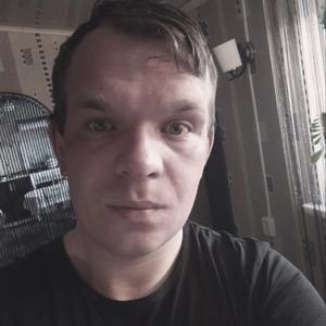 Денис, 33 года, Брянск
