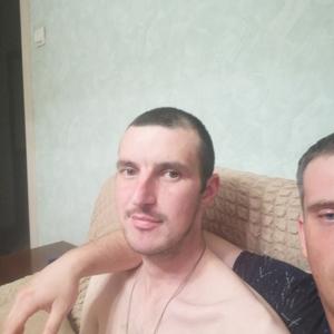 Сергей, 38 лет, Котлас