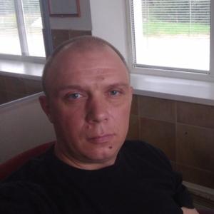 Feodor, 41 год, Шуя