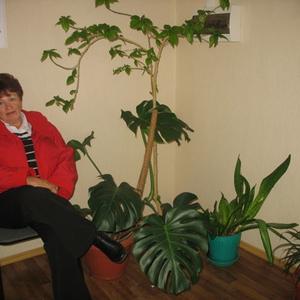Галина, 66 лет, Самара