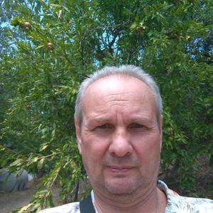 Александр Мажуга, 66 лет, Киев