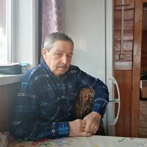 Юрий, 71 год, Иркутск
