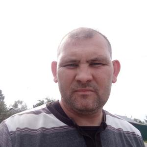 Николай, 37 лет, Прохладный