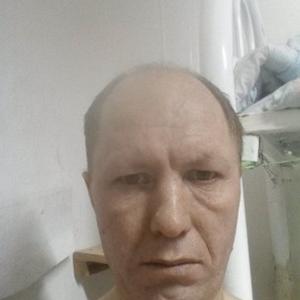 Серж, 51 год, Красноярск