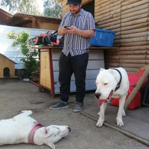 Парни в Santiago: Gustavo, 31 - ищет девушку из Santiago