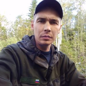 Виталий, 39 лет, Череповец