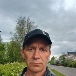Сергей Епифановский, 41 год, Вологда
