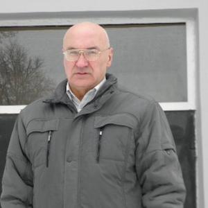 Александр Детушев, 69 лет, Курск