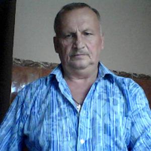 Viktor, 68 лет, Воронеж