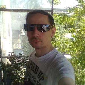 Андрей Белоглазов, 42 года, Пермь