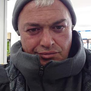 Барс, 47 лет, Санкт-Петербург