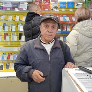 Анатолий, 69 лет, Липецк