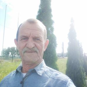 Геннадий, 67 лет, Брянск