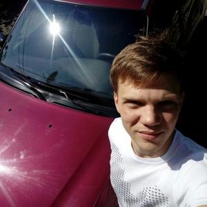 Aleks Nikishin, 30 лет, Брянск