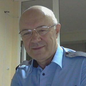 Анатолий, 71 год, Ярославль
