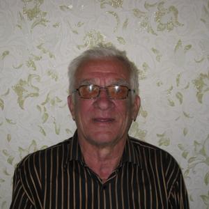 Саша, 73 года, Ржев