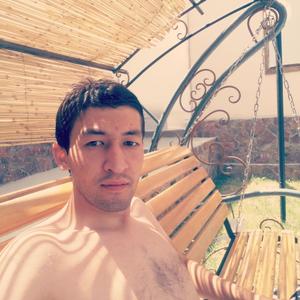 Hamid, 33 года, Ташкент