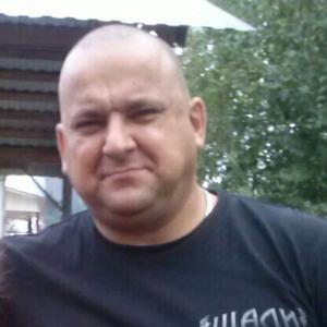 Дмитрий, 45 лет, Киров