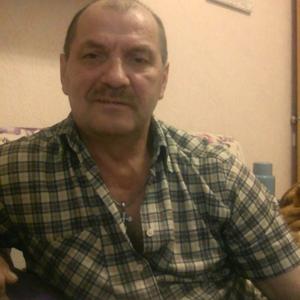 Парни в Краснокамске: Володя Карташов, 63 - ищет девушку из Краснокамска