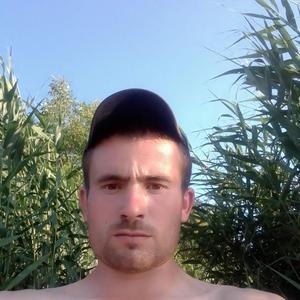 Парни в Тимашевске: Сергей, 31 - ищет девушку из Тимашевска