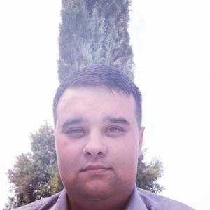 Тимур, 39 лет, Ташкент