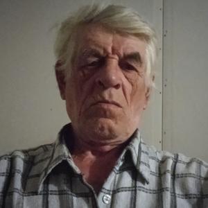 Виктор, 66 лет, Курск