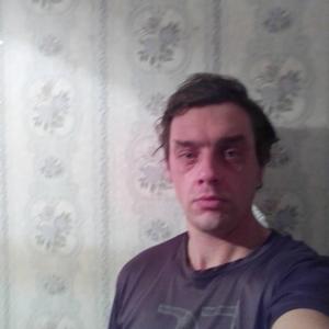 Андрей Ткалин, 34 года, Михайловск