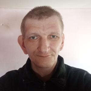 Парни в Тейково: Николай, 41 - ищет девушку из Тейково