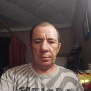 Александр, 52 года, Шатура