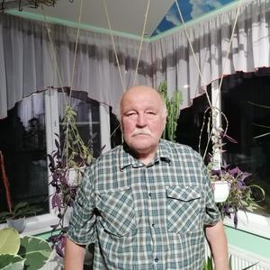 Виктор, 74 года, Пешково