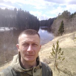Александр Рогозин, 42 года, Вологда