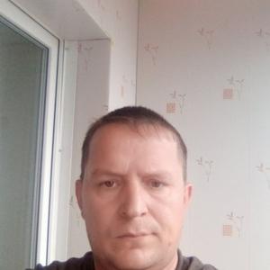 Николай Рагозников, 40 лет, Светлый