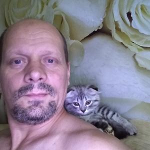 Дима, 44 года, Волгоград
