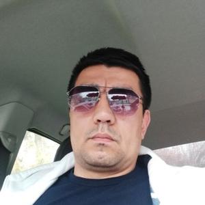 Саид, 39 лет, Ташкент