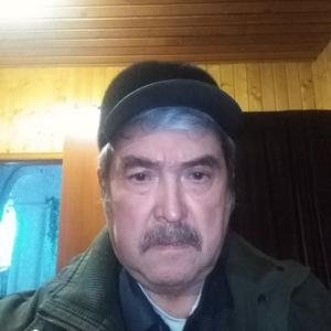 Дамир, 67 лет, Нижнекамск