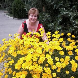 Нина Владимировна, 67 лет, Подольск