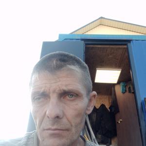 Николай, 44 года, Каменка