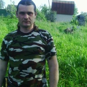 Михаил Мальгин, 41 год, Нерехта