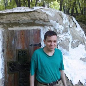Константин Лёвкин, 43 года, Саратов