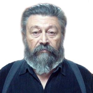Алексей Великанов, 72 года, Москва