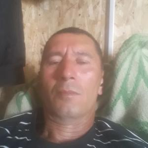 Махмуд, 48 лет, Тюмень