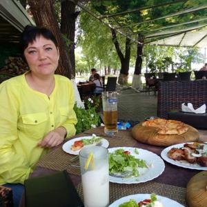 Светлана, 43 года, Белогорск