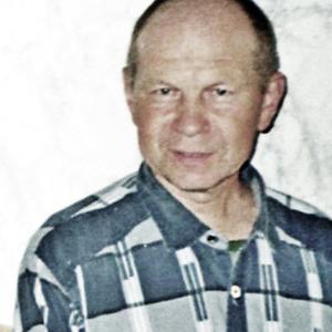 Александр Егоров, 77 лет, Петрозаводск