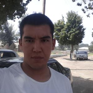 Шавкатжан, 33 года, Ташкент