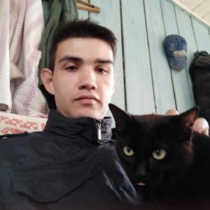 Азат, 33 года, Североуральск