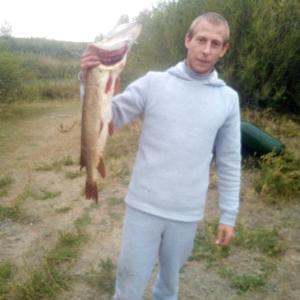 Парни в Ульяновске: Евгений, 35 - ищет девушку из Ульяновска