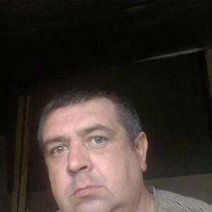 Серый, 43 года, Ставрополь