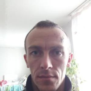 Иван Бахтин, 37 лет, Томск