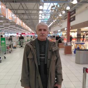 Сергей, 67 лет, Электросталь